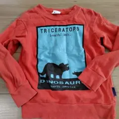 トレーナー120 恐竜トリケラトプス