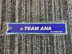 ANA 宮古 羽田 10周年記念 フライトタグ 3個セット - メルカリ
