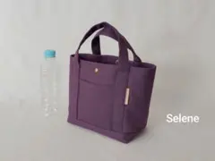 Item thumbnail for item 0bb6db89-14f2-48e4-979f-58ea983e9cf0