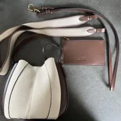 【極美品】ZARA ショルダーバッグ ポーチ付きショルダーストラップ2本付きのサムネイル