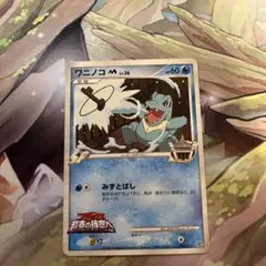 d4756ポケモンカードワニノコ　プロモ