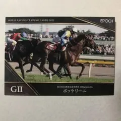 ホースレーシング トレーディングカード 2024下半期 コガネノソラ　丹内祐次 ホースレーシング トレーディングカード 2024下半期