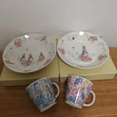 新品未使用 ピーターラビット パスタ皿 カレー皿 21.5cm 2枚セット 箱