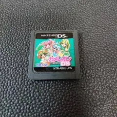 激レア】くるくるカメレオンDS ニンテンドーDS ソフト - メルカリ