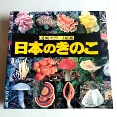 2026年最新】日本のきのこ 山渓カラー名鑑の人気アイテム - メルカリ