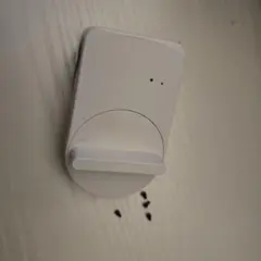 セサミ5のサムネイル