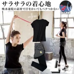 スポーツウェア レディース【上下セット】菊 キク　セットアップ ジム レギンス