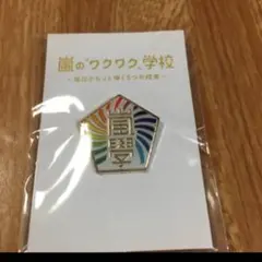 嵐 ワクワク学校 ピンバッジ