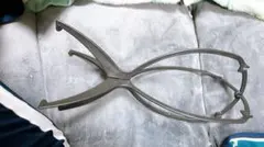 Item thumbnail for item 90918977-575b-4b85-9b23-bf1b6a15db19