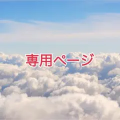 やまいも様 専用ページ