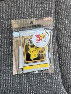 ポケモン 3COINS PVCポーチ ピカチュウ