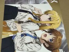 b*l様 魔法少女リリカルなのはEXCEEDS 2 とらのあな クリアファイル
