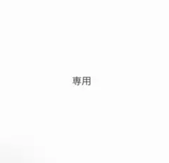 A i様 リクエスト 2点 まとめ商品