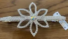 Item thumbnail for item e237020b-48ab-417a-9a1f-bbf3d265036e