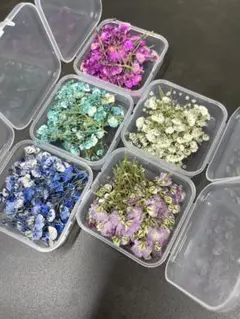 押し花セット 半透明ケース入り