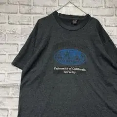 USA製90sヴィンテージTシャツ！シングルステッチ　グレー半袖古着　XL715