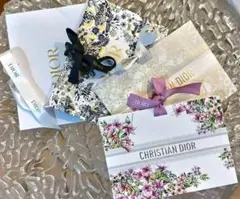 クリスチャンディオール　ショッパー　4点セット