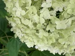 ゆり ☆様 リクエスト 3点 まとめ商品