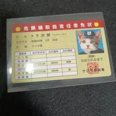 なめ猫カード 価格交渉受付中 なめ猫カード コロコロコミック付録 - メルカリ