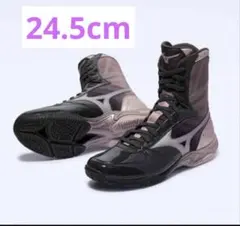 Mizuno WAVE MONSTER ボクシングシューズ 井上尚弥 25cm - メルカリ
