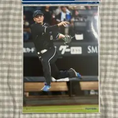 2026年最新】郡司裕也の人気アイテム - メルカリ