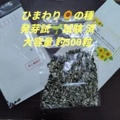 ヒマワリの種【発芽試験 済・大容量 約500粒】