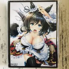 ウマ娘 プリティーダービー エイシンフラッシュ