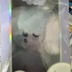 RIIZE ODYSSEY ボイスキーリング アントン トレカ