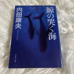 Item thumbnail for item 26a73fd9-f310-4116-9689-2ea4a27ce4be