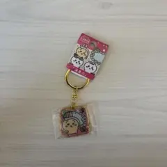 ちいかわ 温泉地限定 ダイカットキーホルダー うさぎ