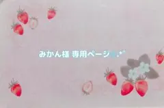 みかん様 専用ページ✩.*˚