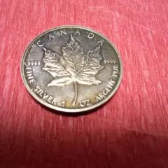 2026年最新】メイプルリーフ金貨 1/10オンスの人気アイテム - メルカリ