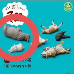 明日発送可！送料無料！サイ ウサギ 2点セット ZooZooZoo のんきだ寝