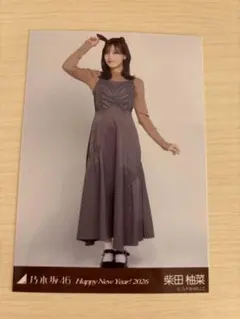 Item thumbnail for item 62810d81-4e35-4da4-a6e6-7eb38c6e4b13