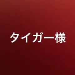 タイガー様　妖怪ウォッチ バスターズ 赤猫団3DS ソフト