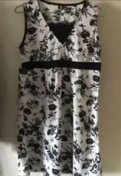 Item thumbnail for item 1d9cf598-24b9-46f0-a1fe-32d7813def3d