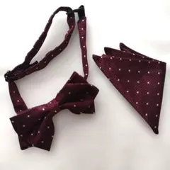 COMME CA ISM コムサイズム 蝶ネクタイ＆ポケットチーフセット