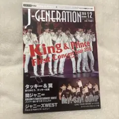 山本KID徳郁プロデビュー戦修斗パンフレット2001年 - メルカリ