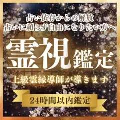 初回限定価格【霊視鑑定】恋愛•仕事•人間関係•宿命•運命•人生•総合•霊視•占い
