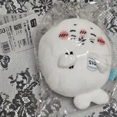 ナガノ 水族館 アザラシ マスコット & ぬいぐるみ くじ B C D 猫 塩 ナガノ 水族館 アザラシ マスコット & ぬいぐるみ くじ B C D 猫