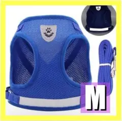 Item thumbnail for item 845ad13d-d337-424e-ab1f-a07cdc532b6e