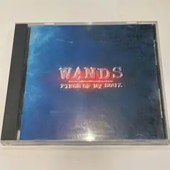 CD WANDS「PIECE OF MY SOUL」