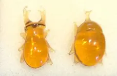 ガラス細工カブトムシ