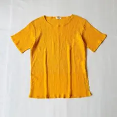 【美品】プランテーション　カットソー　イッセイミヤケ期　オパール加工　プリーツのサムネイル