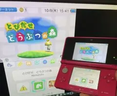 即日発送‼️偽トロキャプチャー 3DS グロスピンク【おまけノイズフィルター付き】