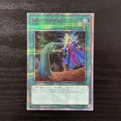 遊戯王 墓穴の指名者 25th 抹殺の指名者 25th 遊戯王 墓穴の指名者【25th シークレットレア】 RARITY COLLECTION