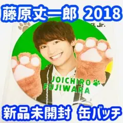 なにわ男子 藤原丈一郎 缶バッチ 2018 あけおめ 缶バッジ