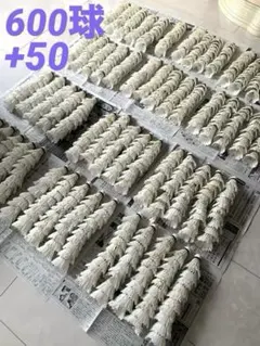 シャトル バドミントン