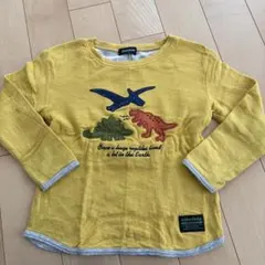 klädkåp 恐竜刺繍 長袖カットソー 110