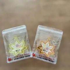 極レア　アクリルキーホルダー シャカシャカキーホルダー　もみじ
